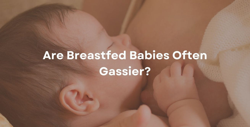 Are Breastfed Babies Often Gassier?