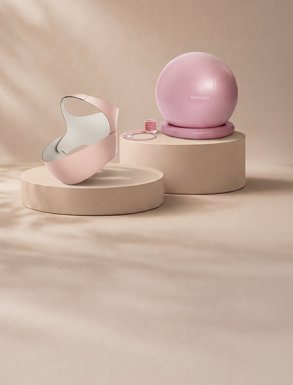 Ergonest Maternity Belly Band & BirthEase Maternity Ball Bundle
