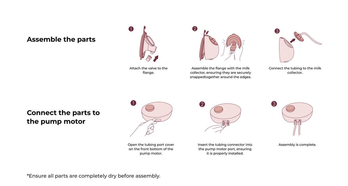 Quick Guide
