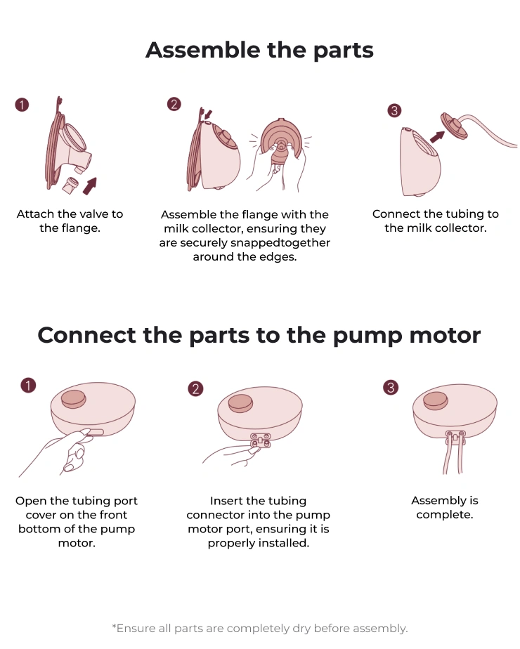 Quick Guide