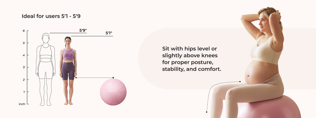Size & Posture Guide