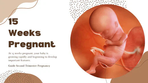 15 Weeks Pregnant