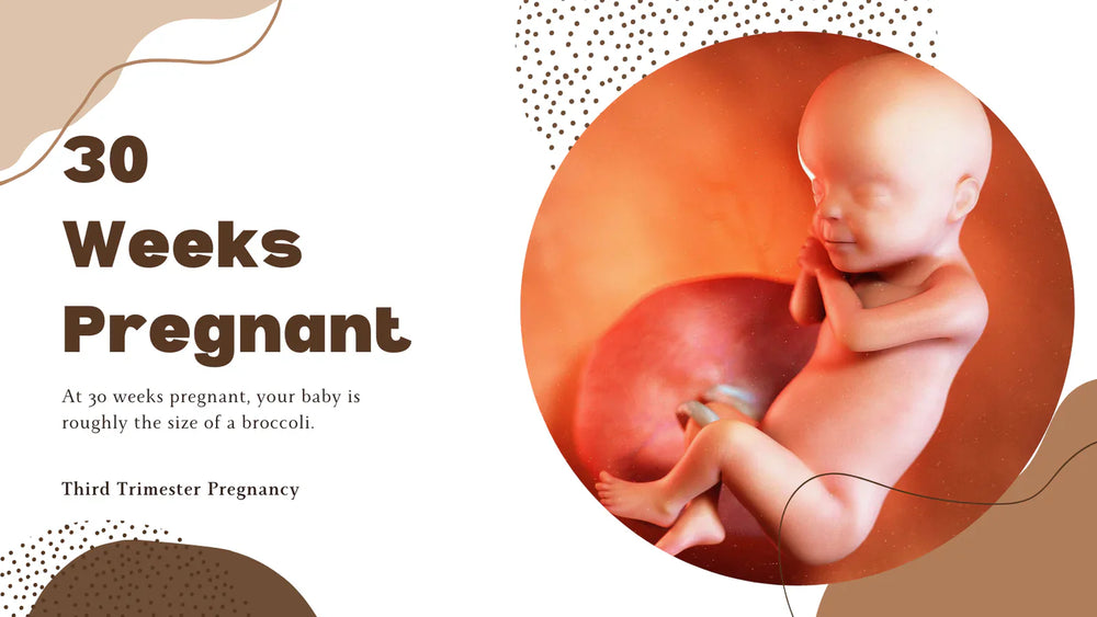 30 Weeks Pregnant