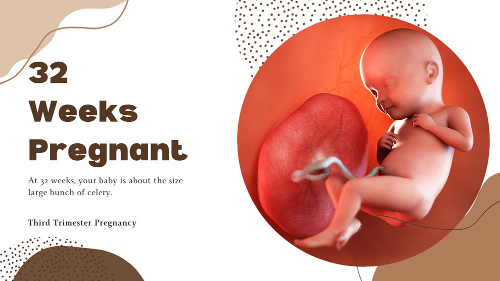 32 Weeks Pregnant