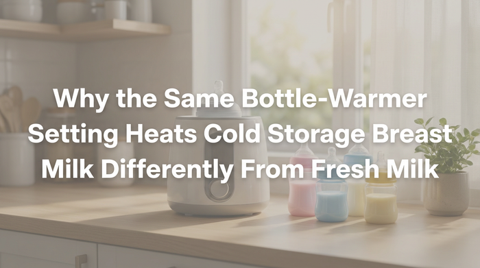 Bottle warmer heating baby bottle on kitchen counter in soft natural light