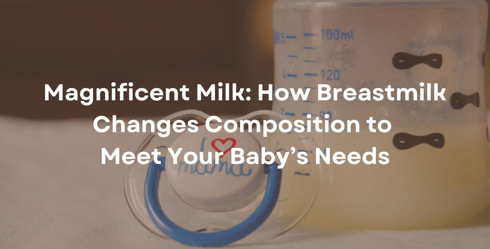 Magnificent Milk: How Breastmilk Changes Composition to Meet Your Baby’s Needs