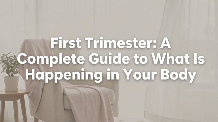 First Trimester: A Complete Guide to What Is Happening in Your Body