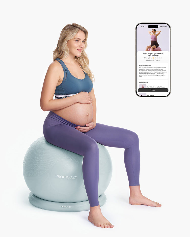 Translation missing: fr.Momcozy BirthEase Maternity Exercise Ball-Glacier Blue