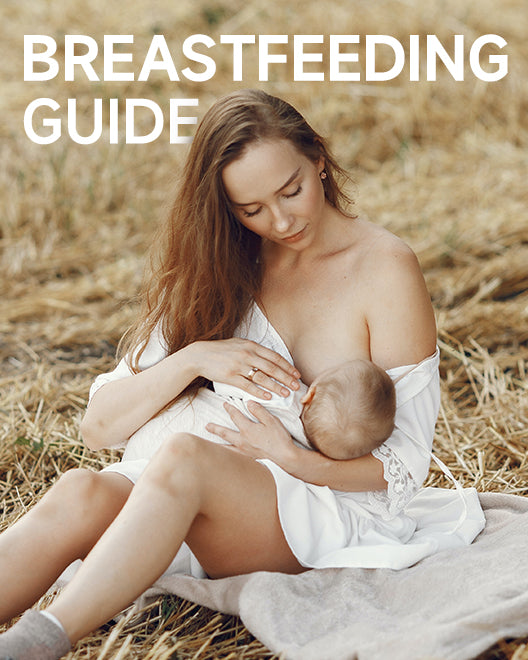 Momcozy Breastfeeding Guide