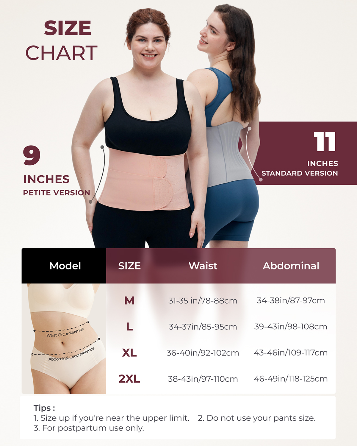 Momcozy Ergowrap Postpartum Belly Band size chart: Petite & Standard versions with waist and abdominal measurements.