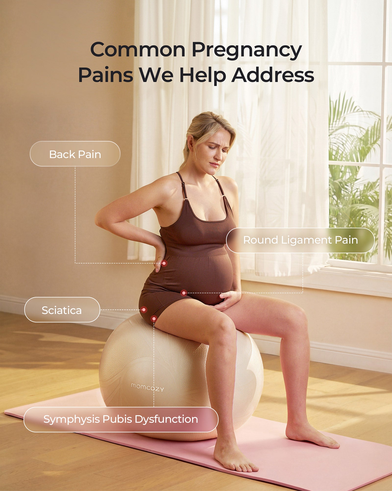 BirthEase Pregnancy Ball  Set— Birthing Ball