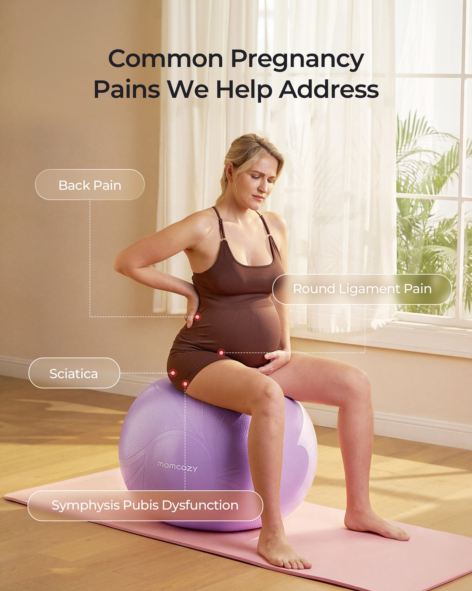 BirthEase Pregnancy Ball  Set— Birthing Ball