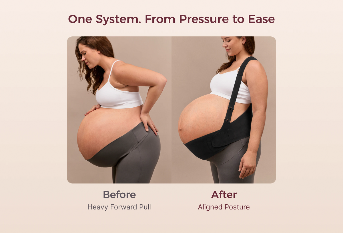 Ceinture de grossesse ergonomique pour soutien du ventre et du dos Momcozy