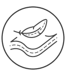 Translation missing: fr.accessibility.image_fallback