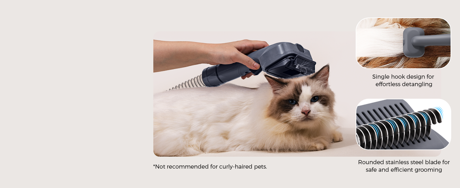 Homepage slide