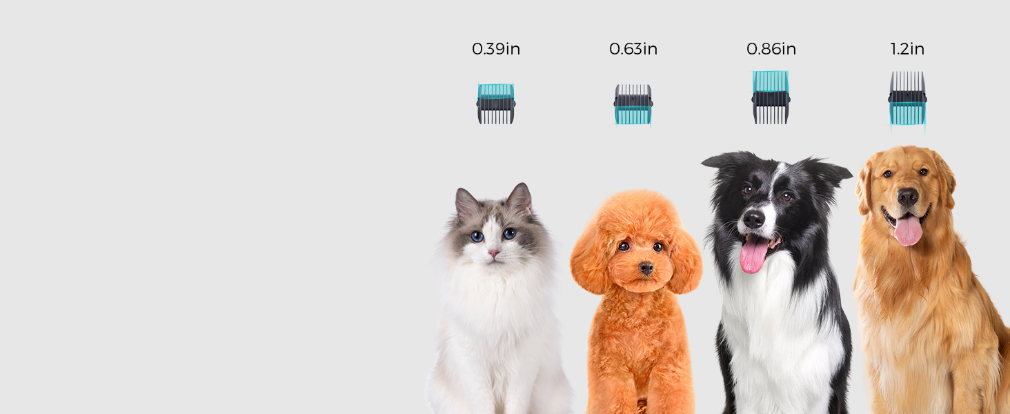 Homepage slide
